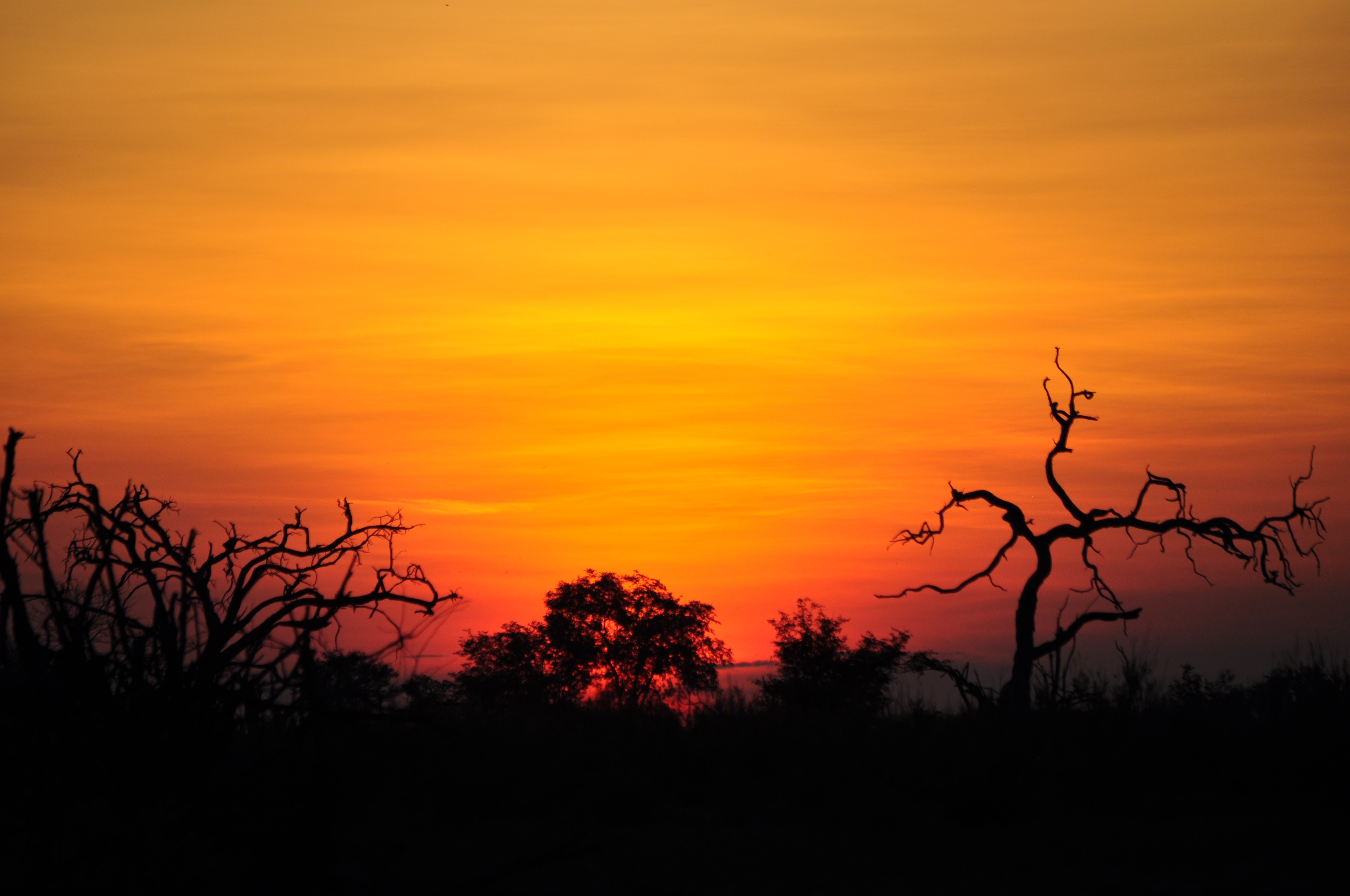 An inspiring, vaguely primeval image to get your creative juices flowing