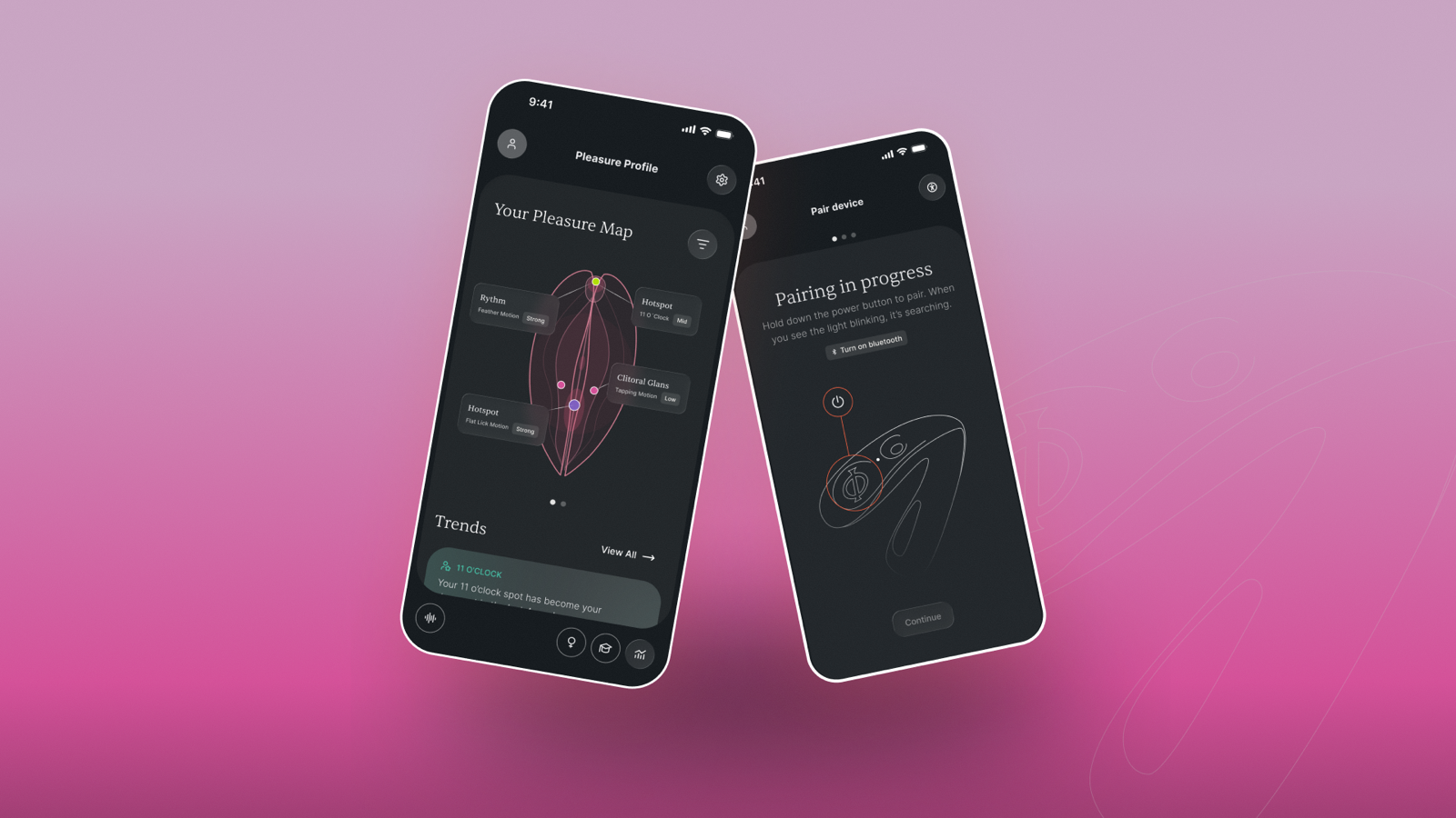 The personalised Pleasure Map and Bluetooth device pairing screen